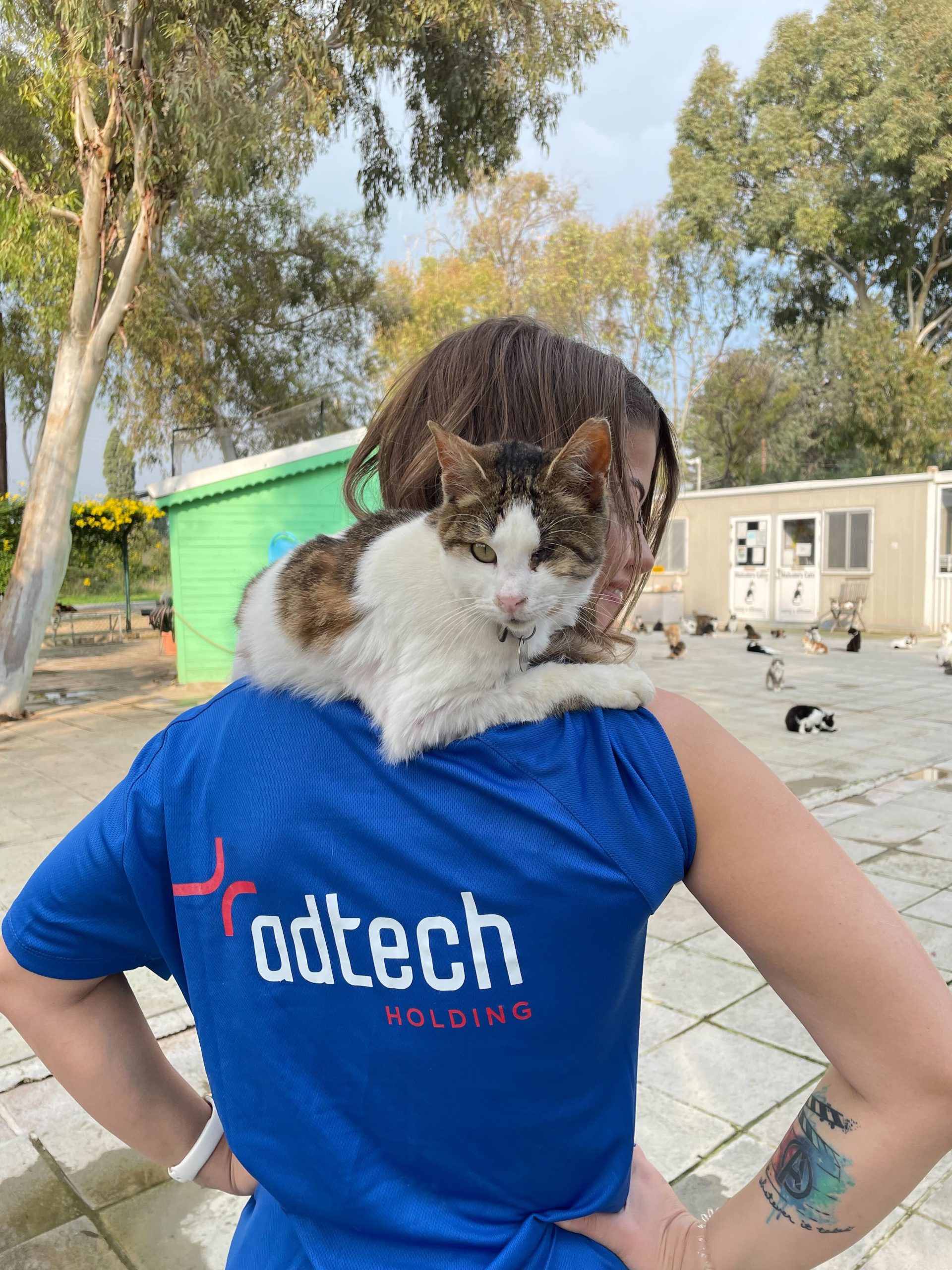 Adtech_Malcolms_cats1